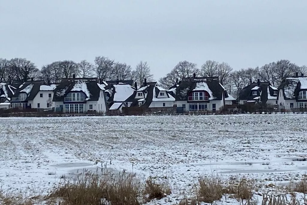 323592-Gebied winter 1km