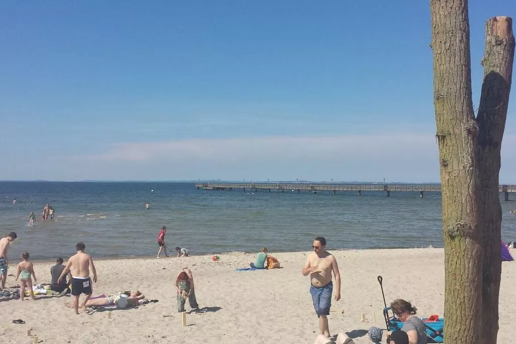 24952-Gebieden zomer 1km