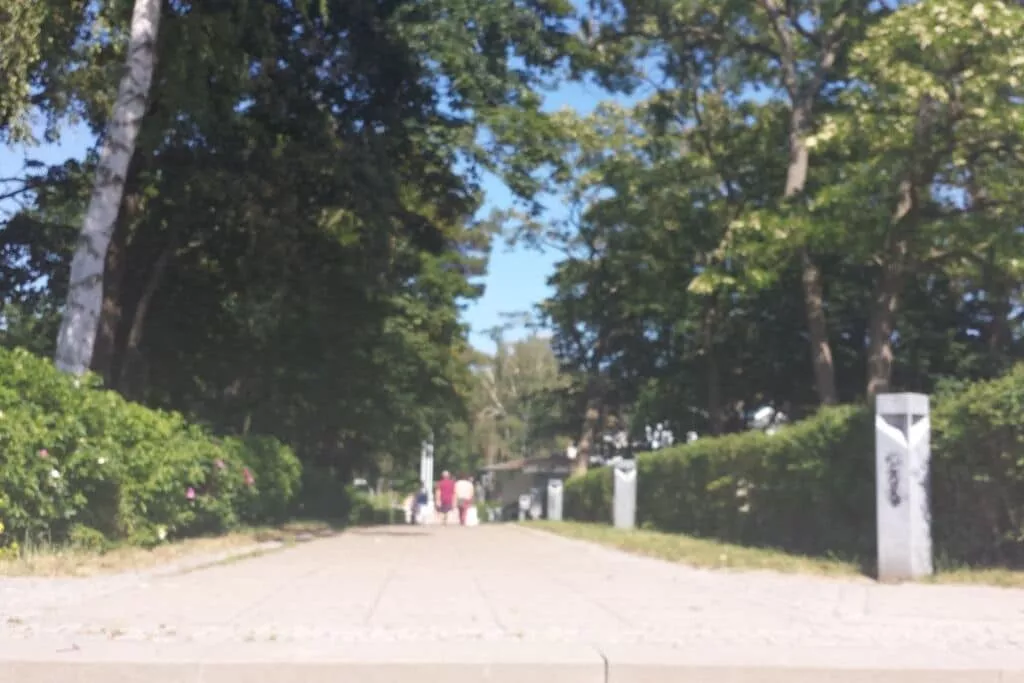 24952-Gebieden zomer 1km