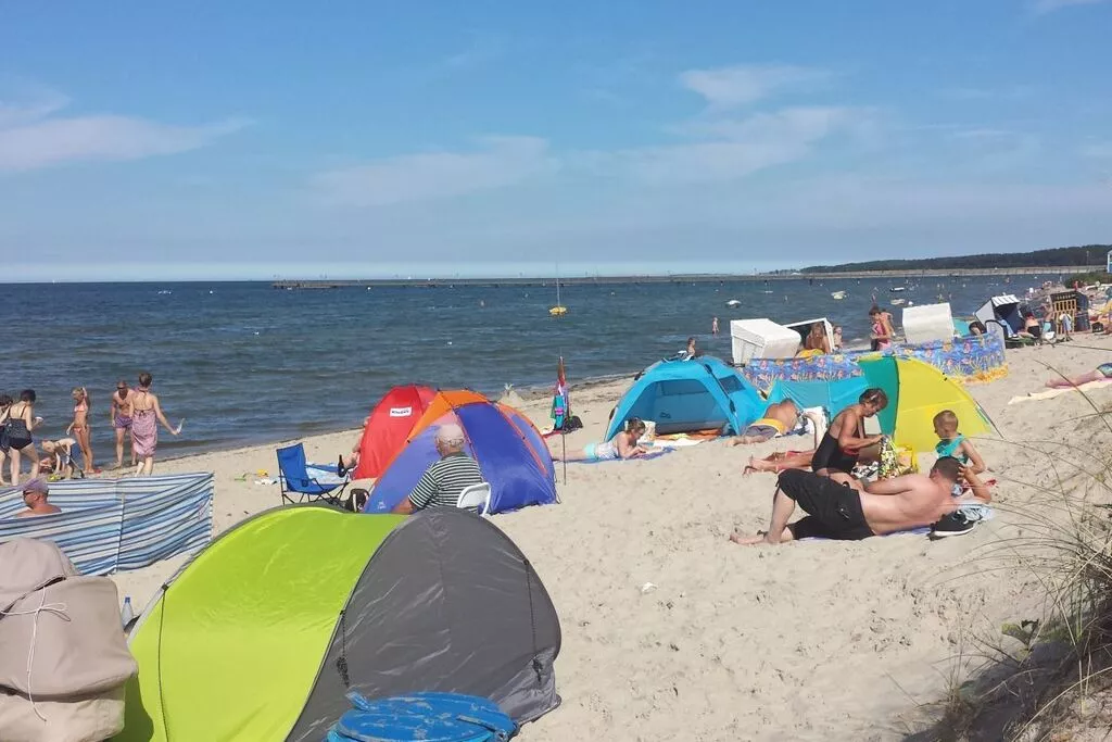 24952-Gebieden zomer 1km