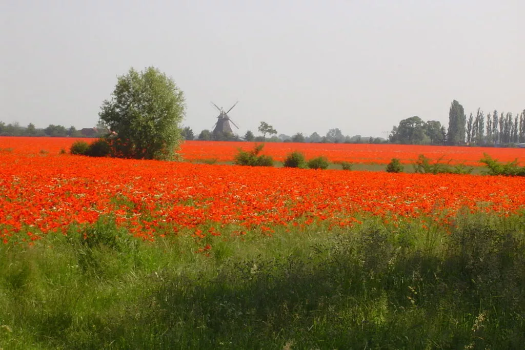 61116-Gebieden zomer 5km