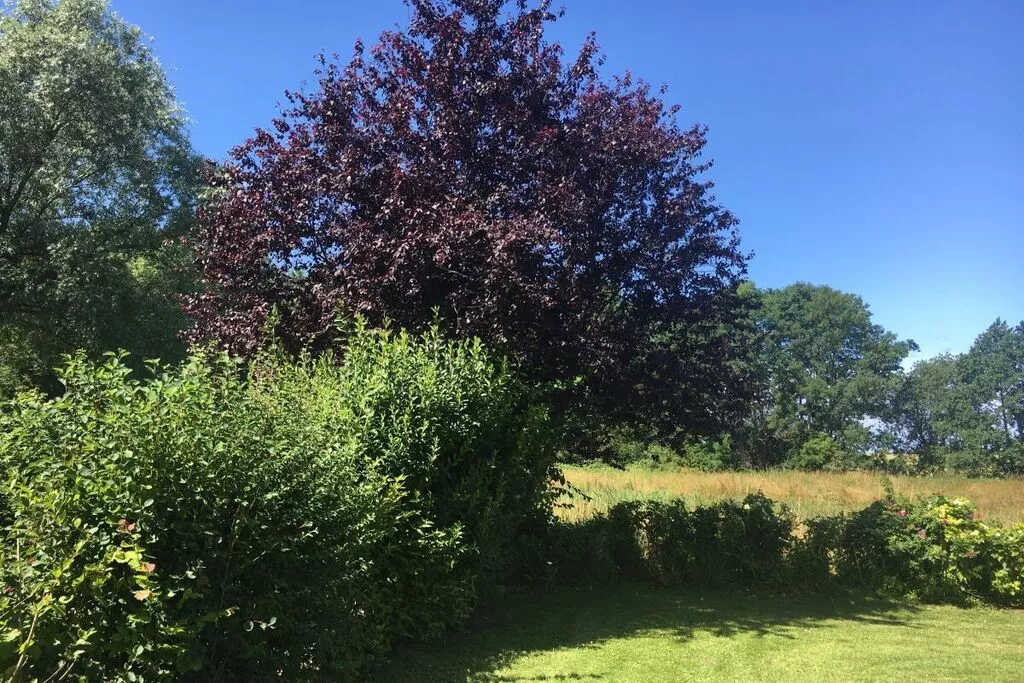 279559-Tuinen zomer