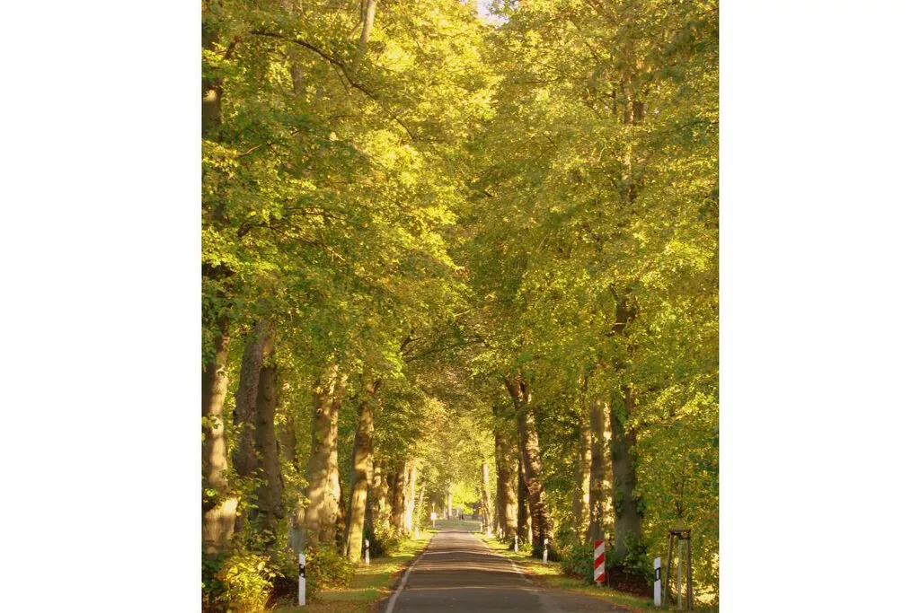 231175-Gebieden zomer 5km