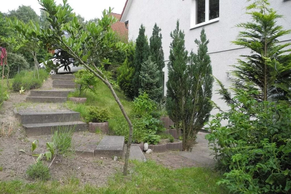 6518-Niet-getagd
