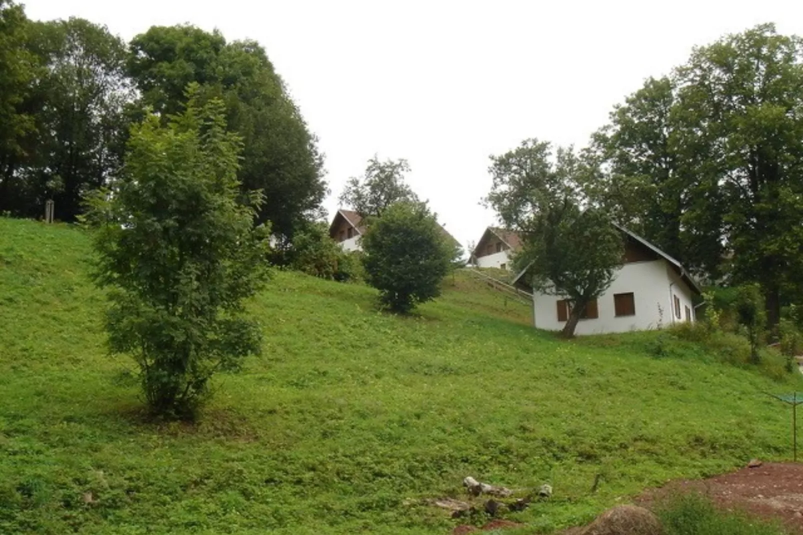 Hogendorf-Sfeer