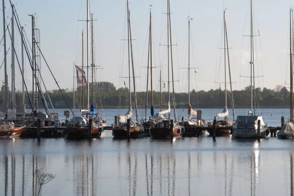 288764-Gebieden zomer 5km