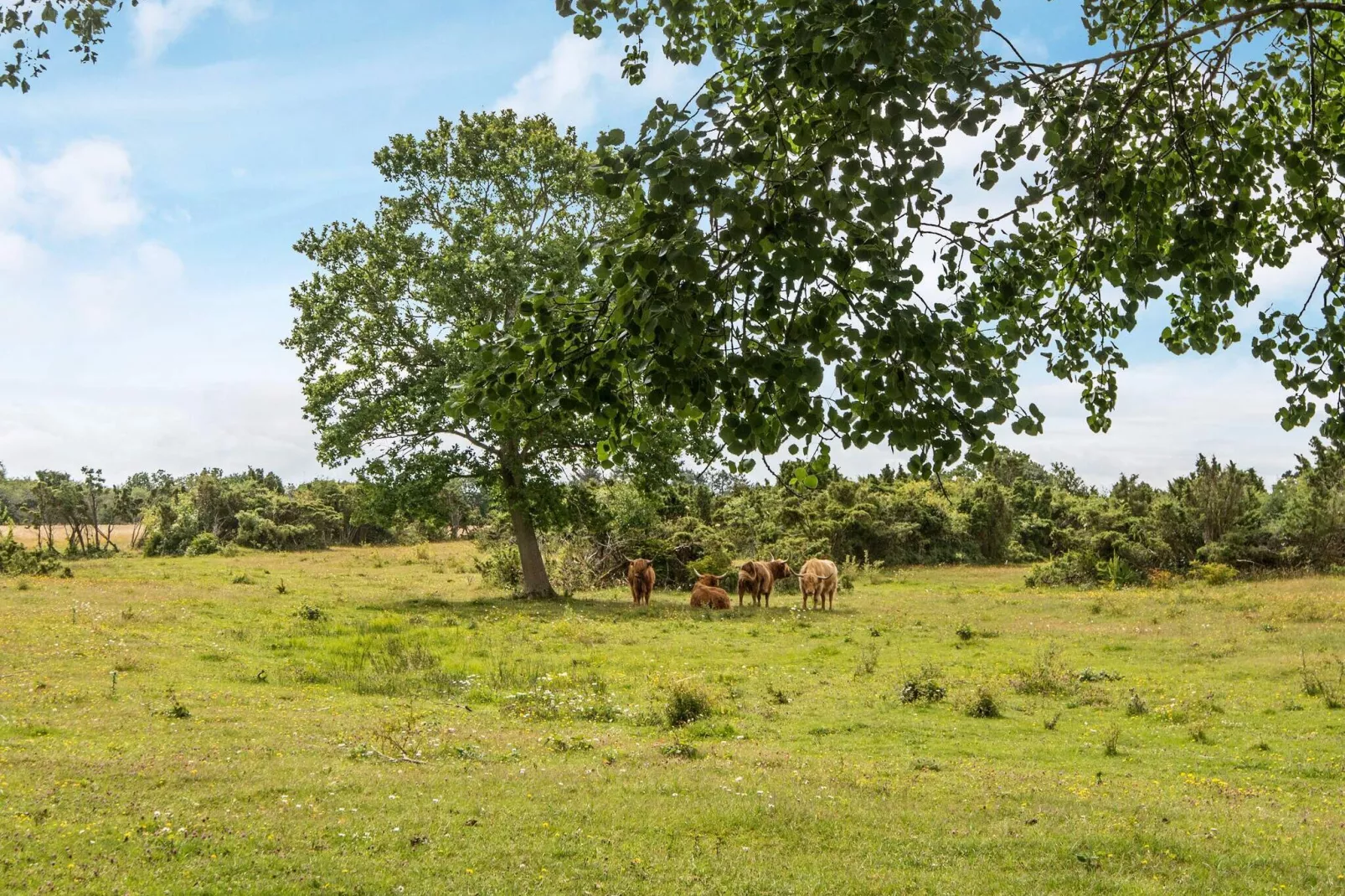 5 sterren vakantie huis in Ebeltoft-Uitzicht