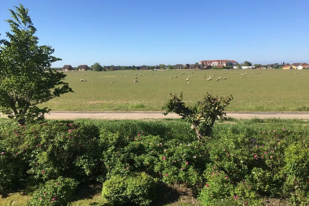 280-Gebieden zomer 5km