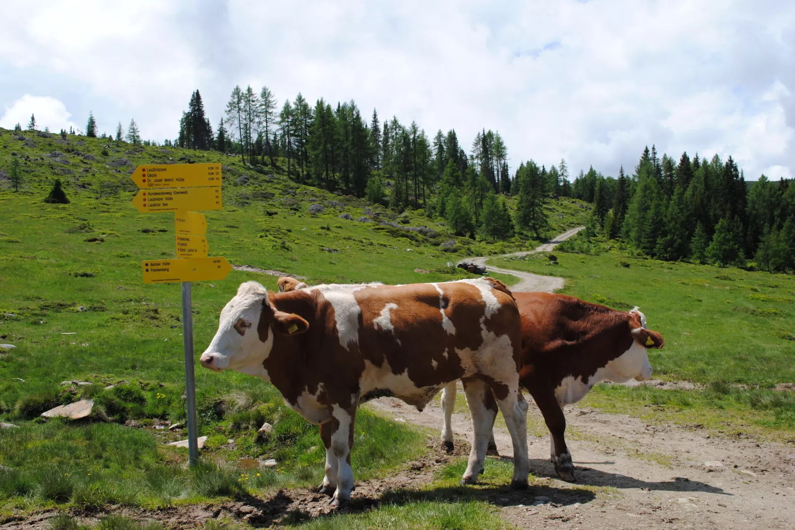 Chalet Wirnsberg-Gebieden zomer 5km