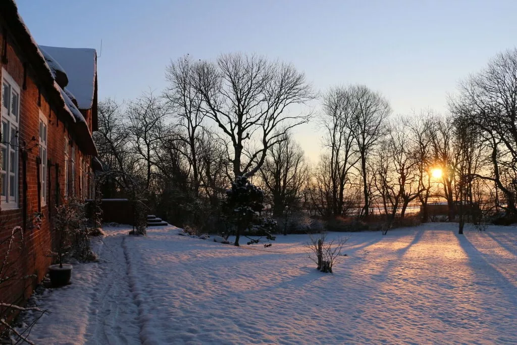 240442-Exterieur winter
