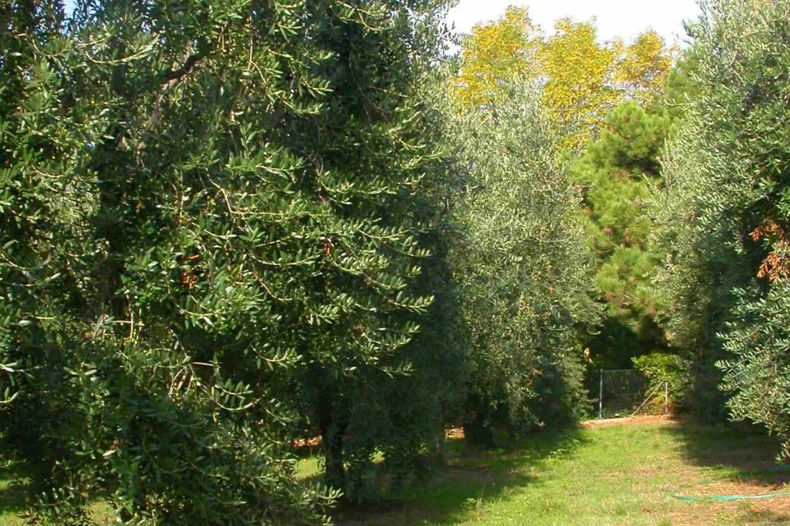 Casa Rondò-Tuinen zomer