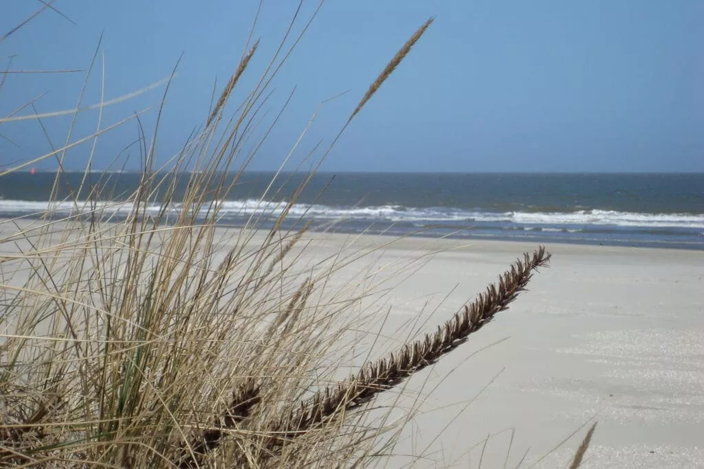 201192-Niet-getagd