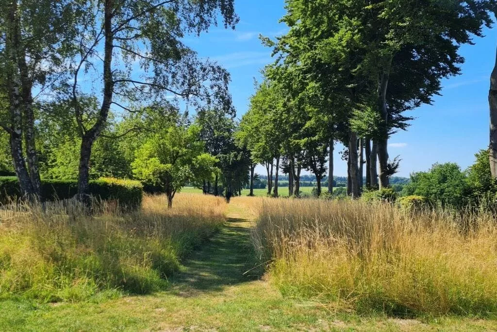 383065-Gebieden zomer 5km