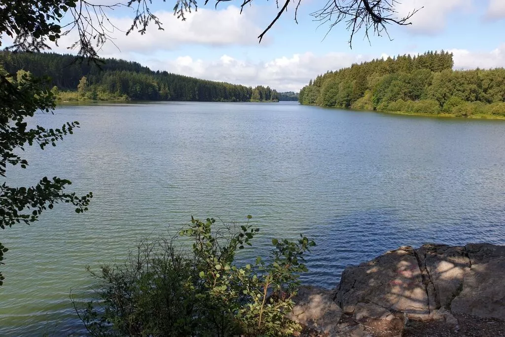 383065-Gebieden zomer 5km