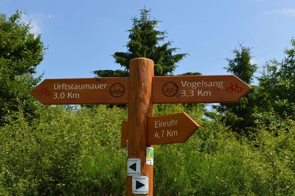 383065-Gebieden zomer 5km
