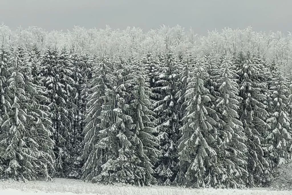 383065-Gebied winter 5km