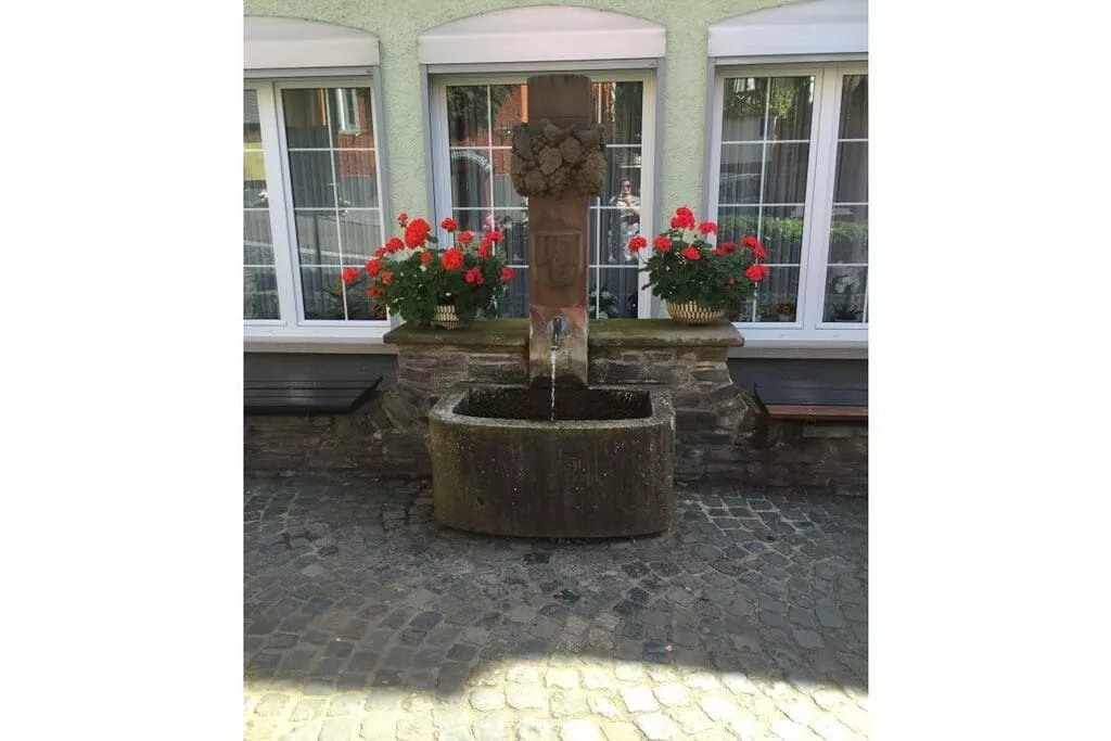 220569-Gebieden zomer 5km