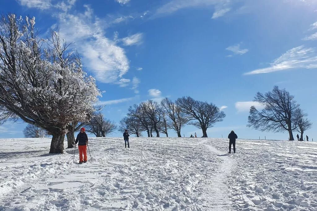 165277-Gebied winter 5km