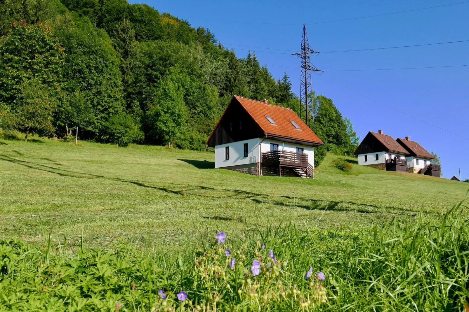 Green Valley Park 1-Buitenkant zomer