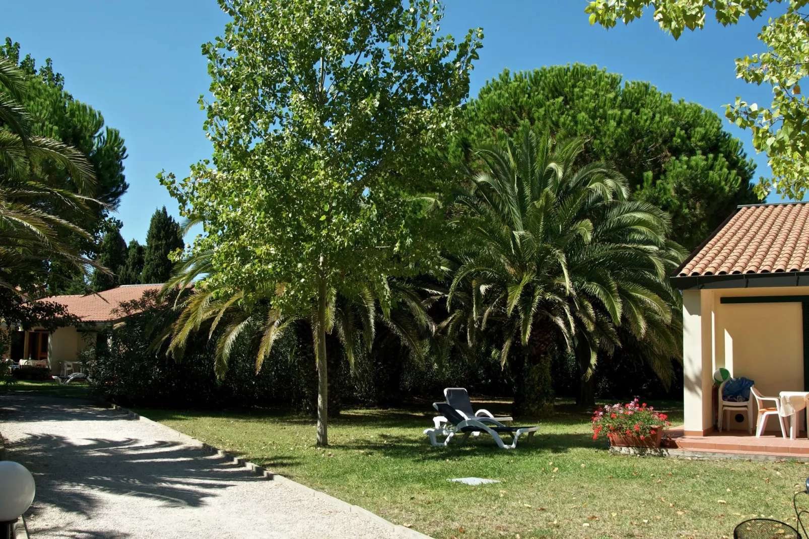 Ghiacci Vecchi 1-Tuinen zomer