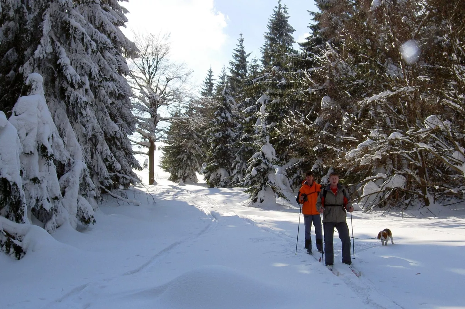 Bossa Nova-Gebied winter 5km