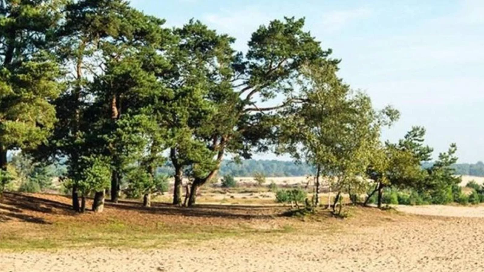 Steenenburg Zicht-Gebieden zomer 5km