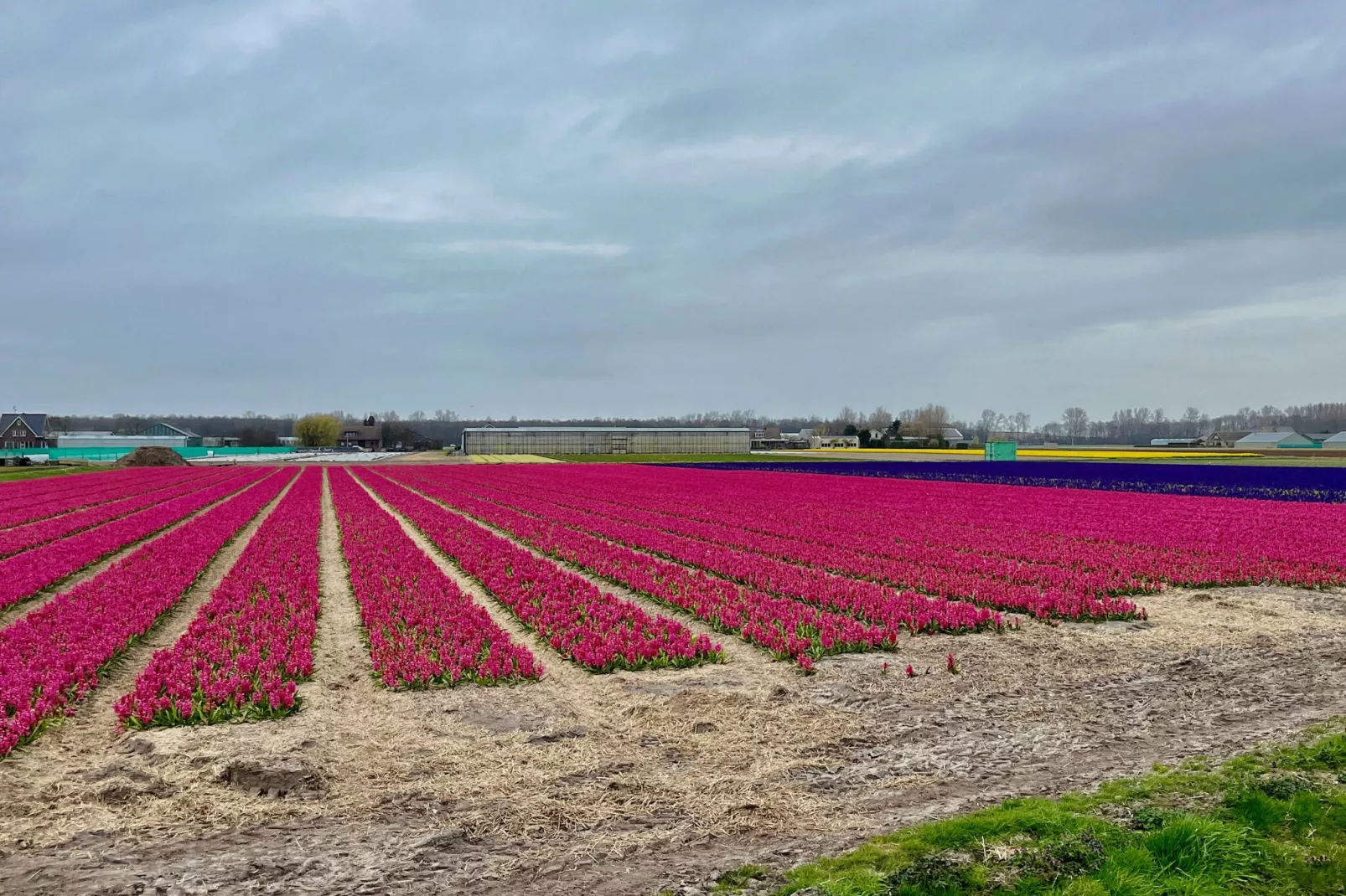 Familiehuis in Noordwijkerhout-Gebieden zomer 1km