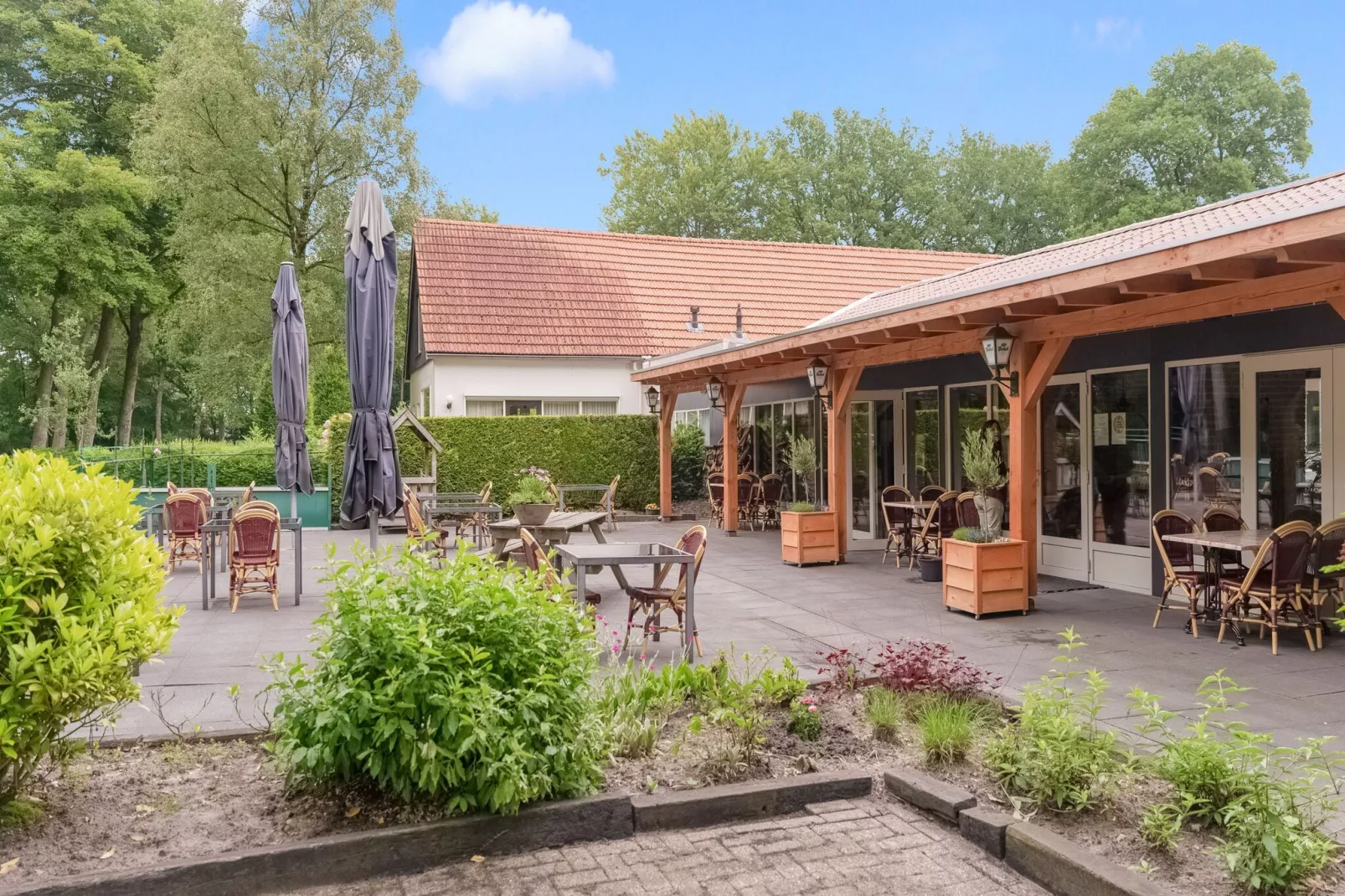 Chalet in Vledder-Parkfaciliteiten