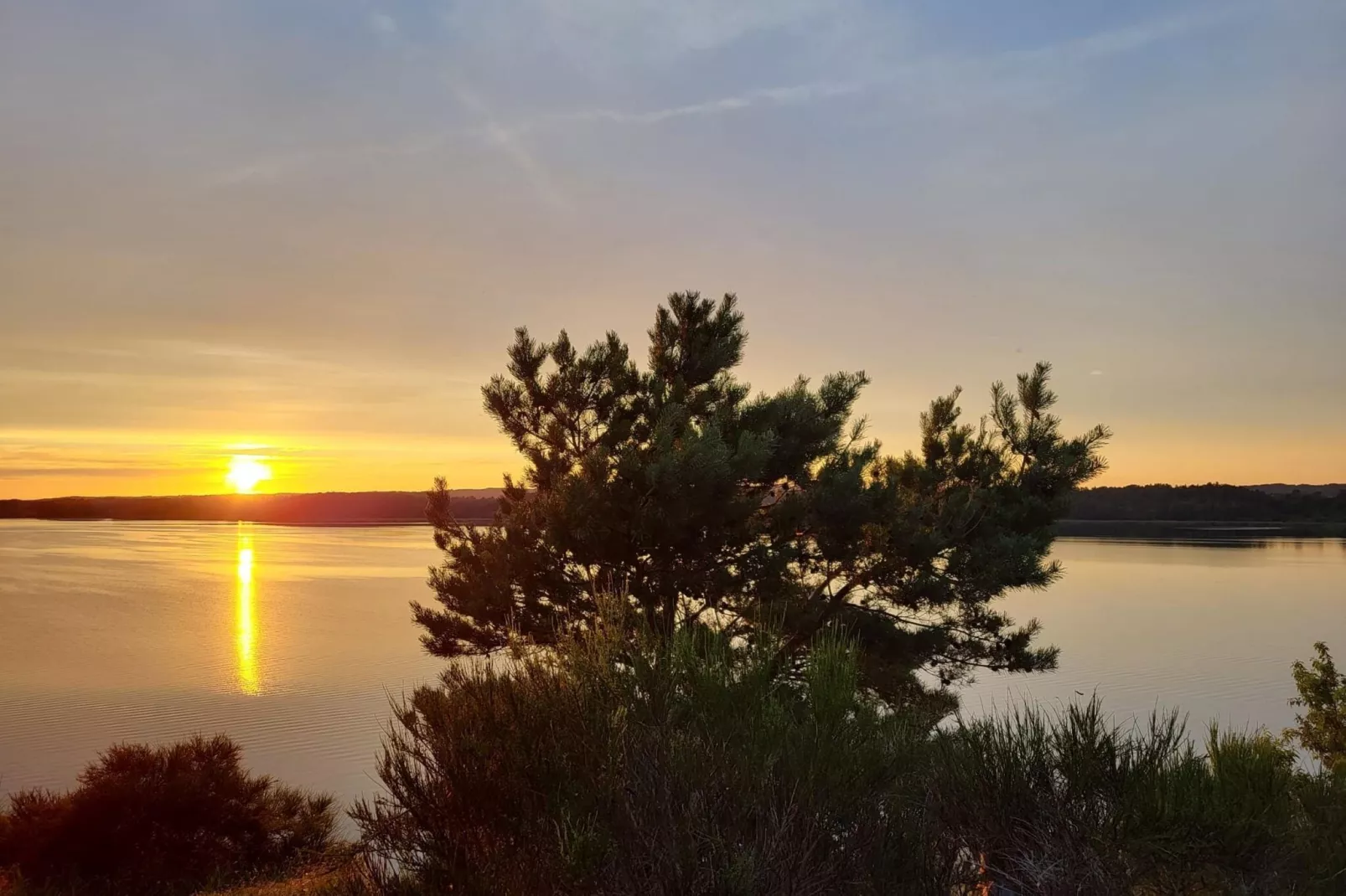 Bungalow Mönchgut auf Rügen-Gebieden zomer 20km