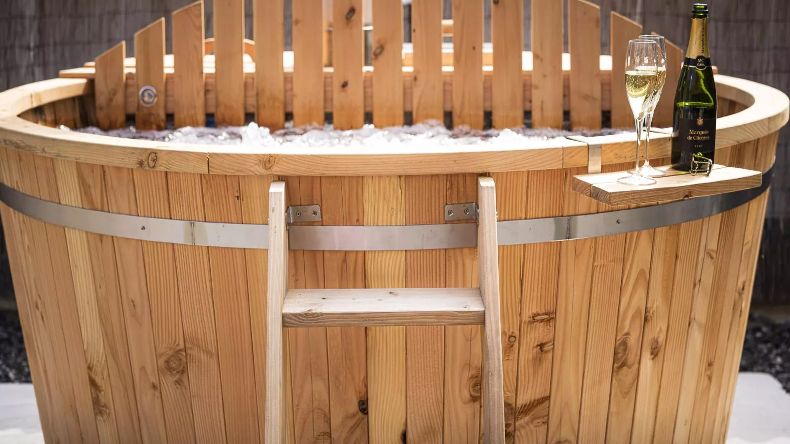 Design Farmers Barn Twente-Wellness