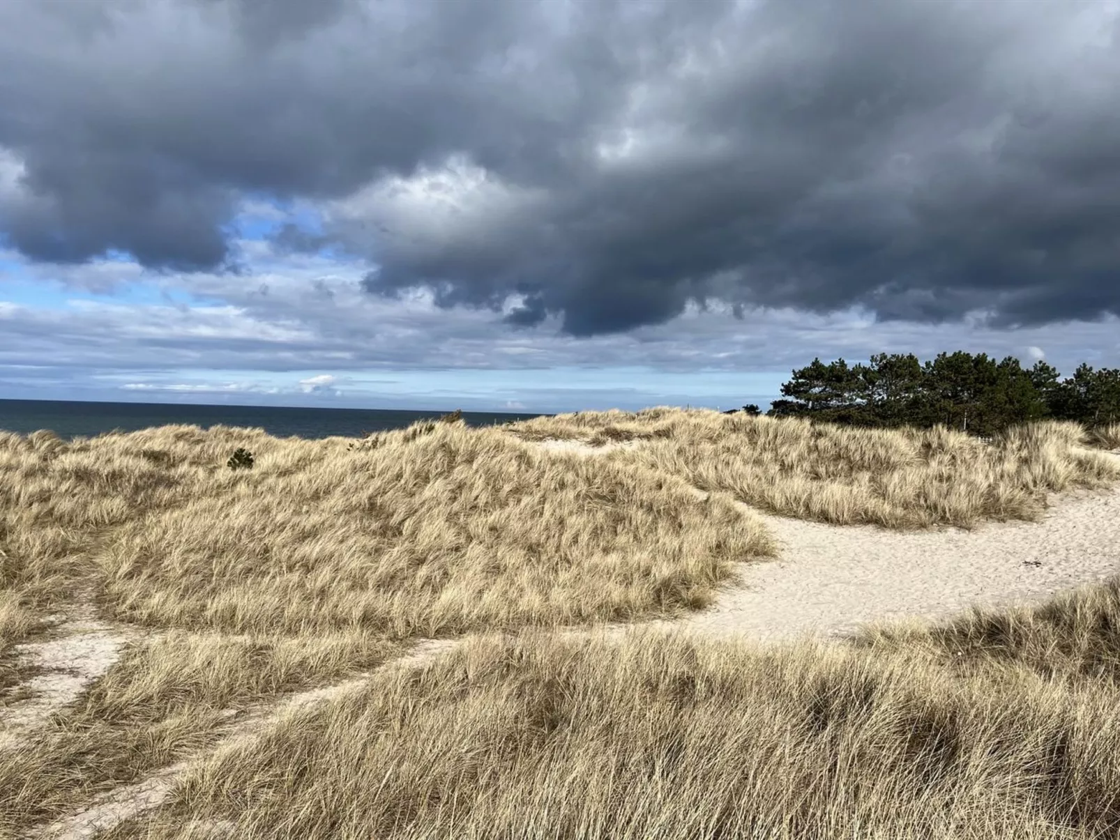 "Sune" - 175m from the sea-Buiten