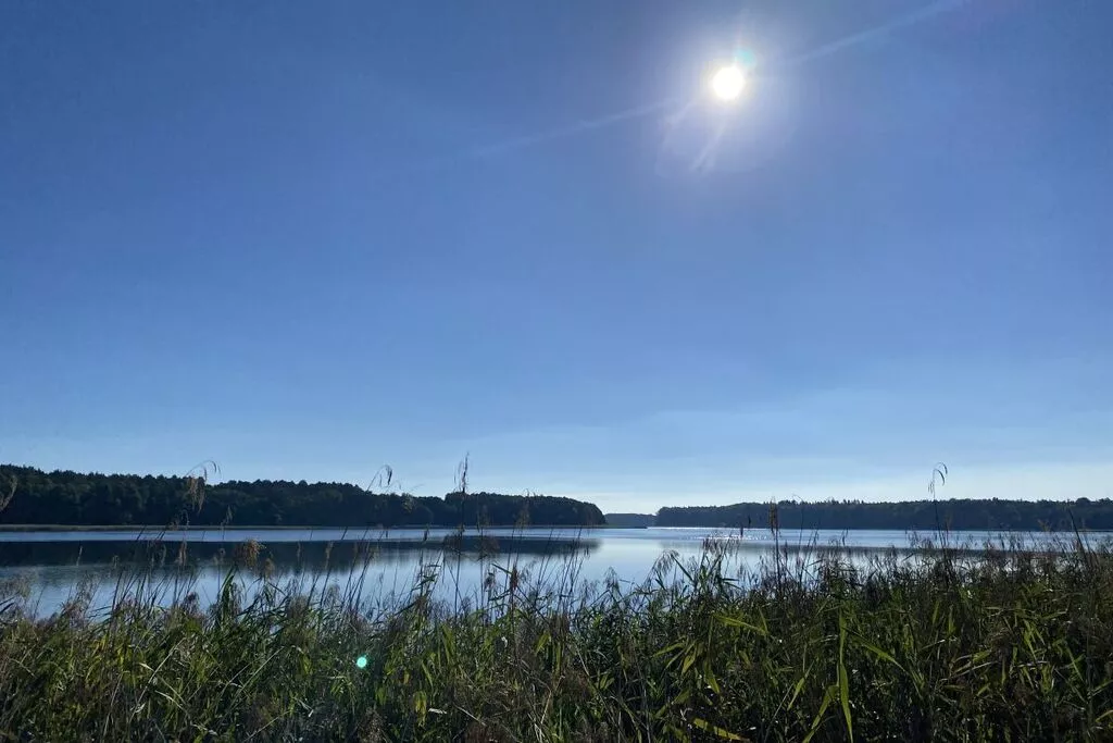 462387-Gebieden zomer 5km