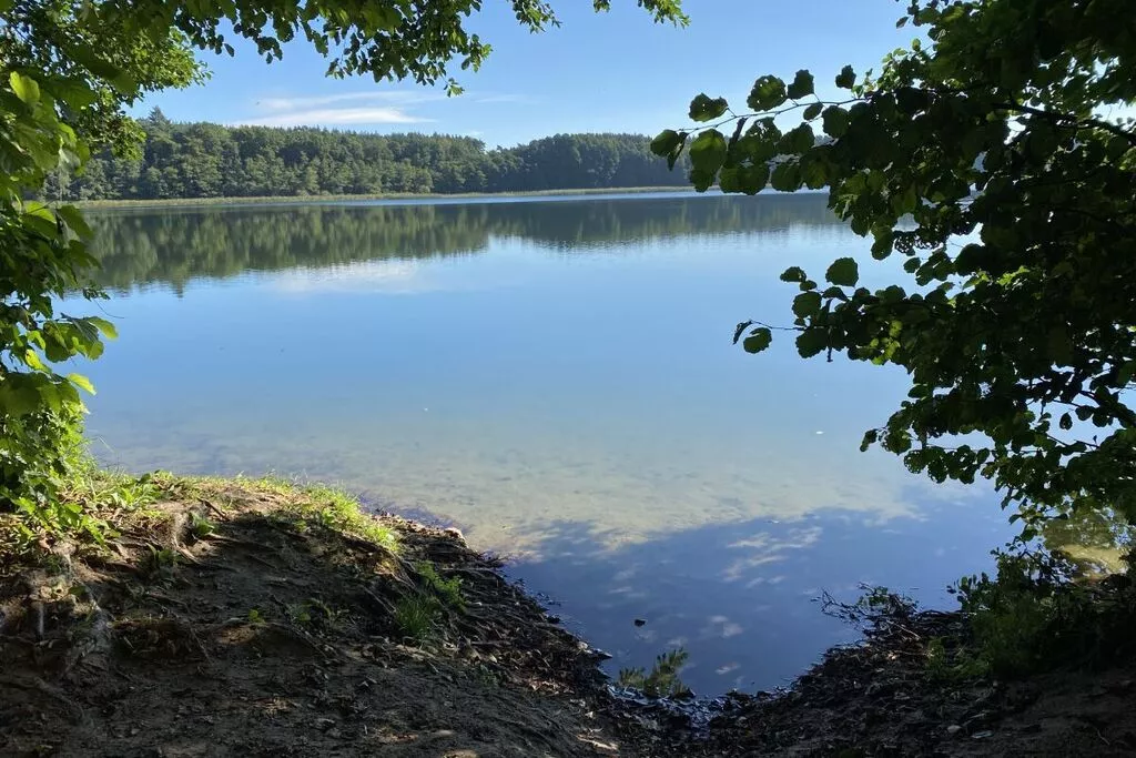 462387-Gebieden zomer 5km