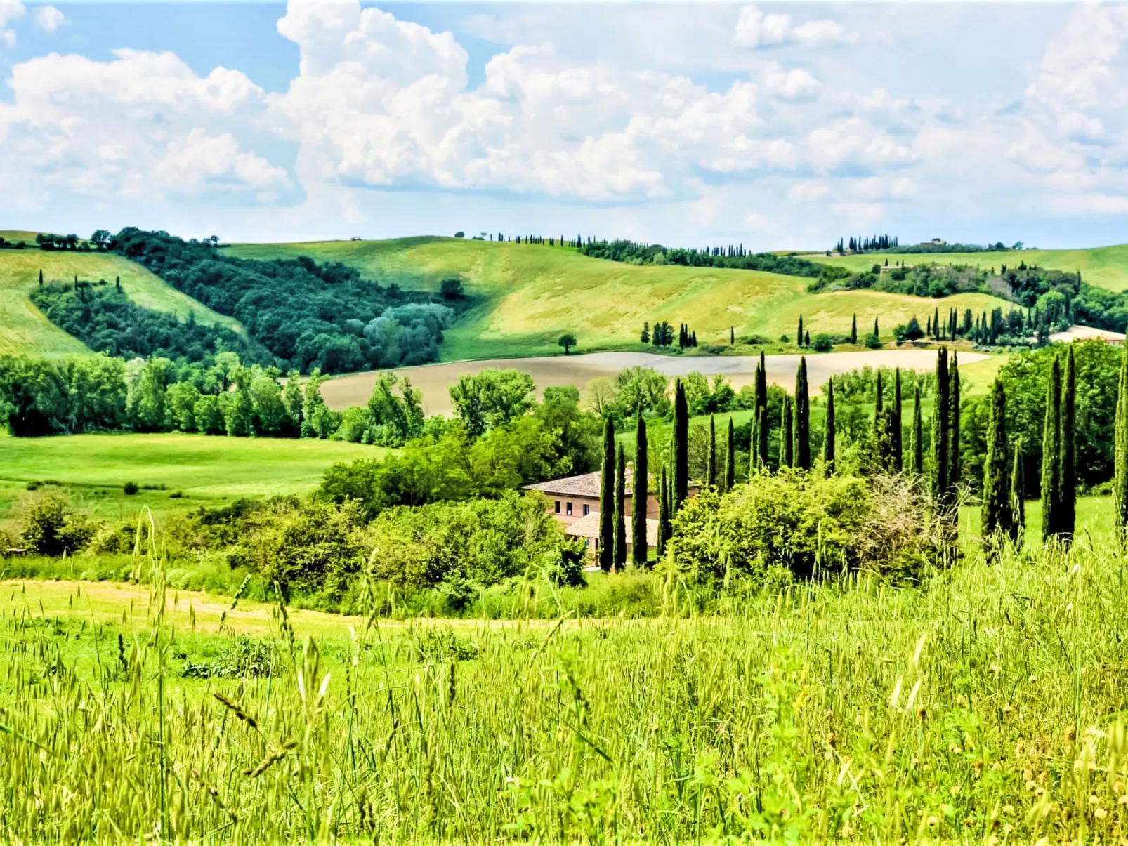 Podere Vetricella