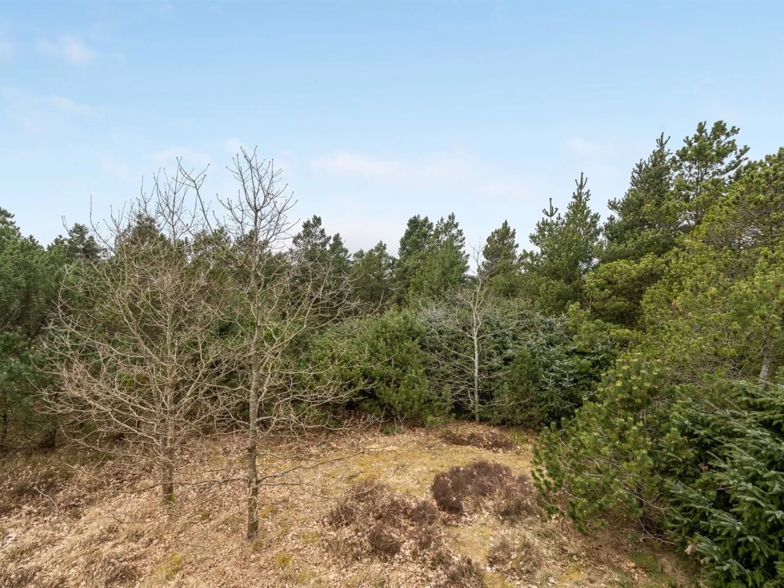 "Akeleje" - 900m from the sea-Buiten