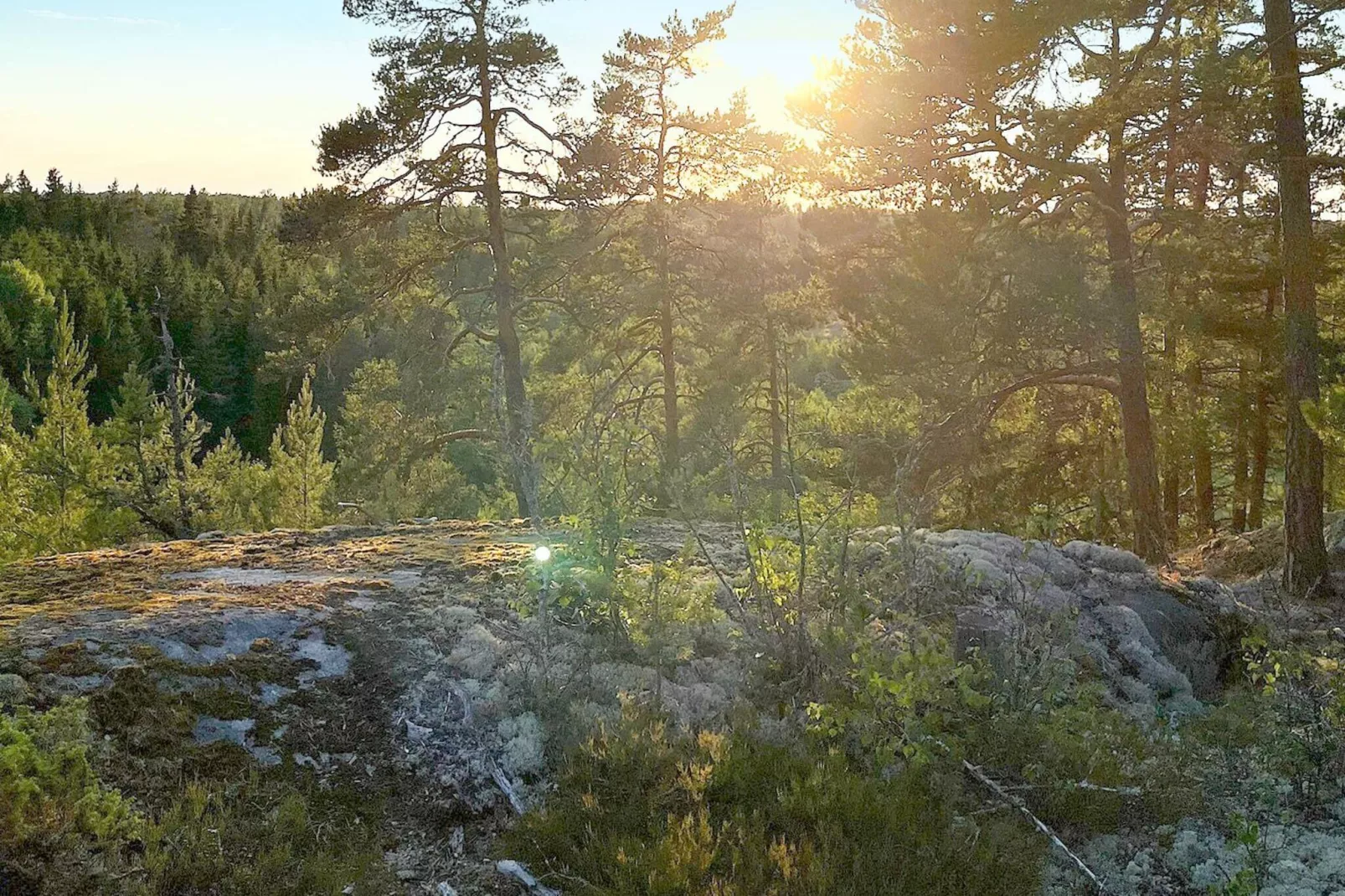 4 persoons vakantie huis in Norrtälje-By Traum-Niet-getagd