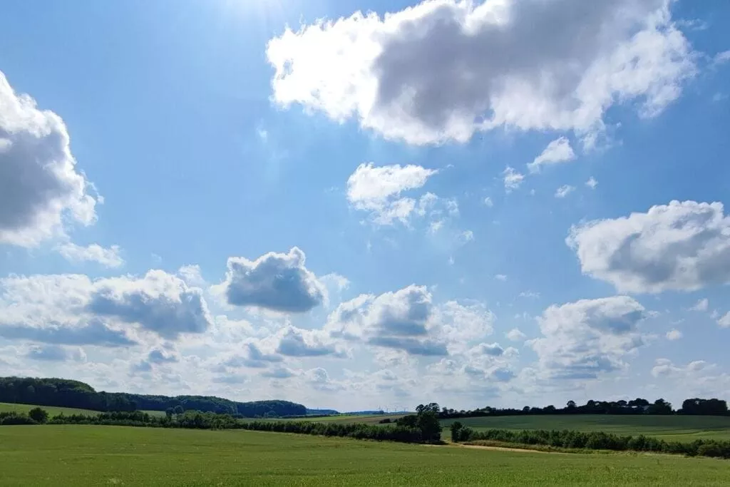 482457-Gebieden zomer 5km