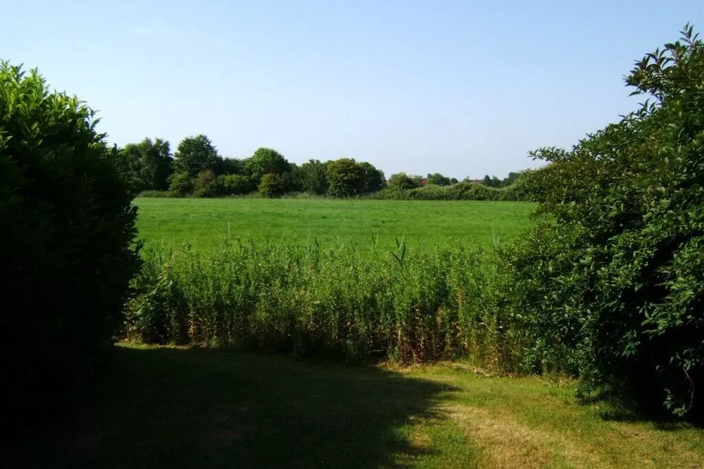 381370-Uitzicht zomer