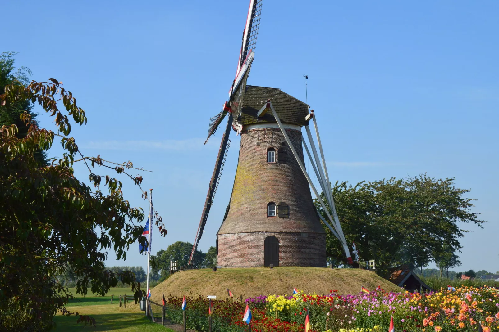 Gelink Hof-Gebieden zomer 1km