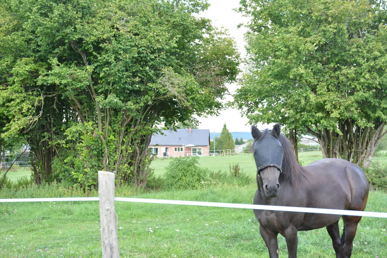 Sous le Charme d'Epona-Tuinen zomer