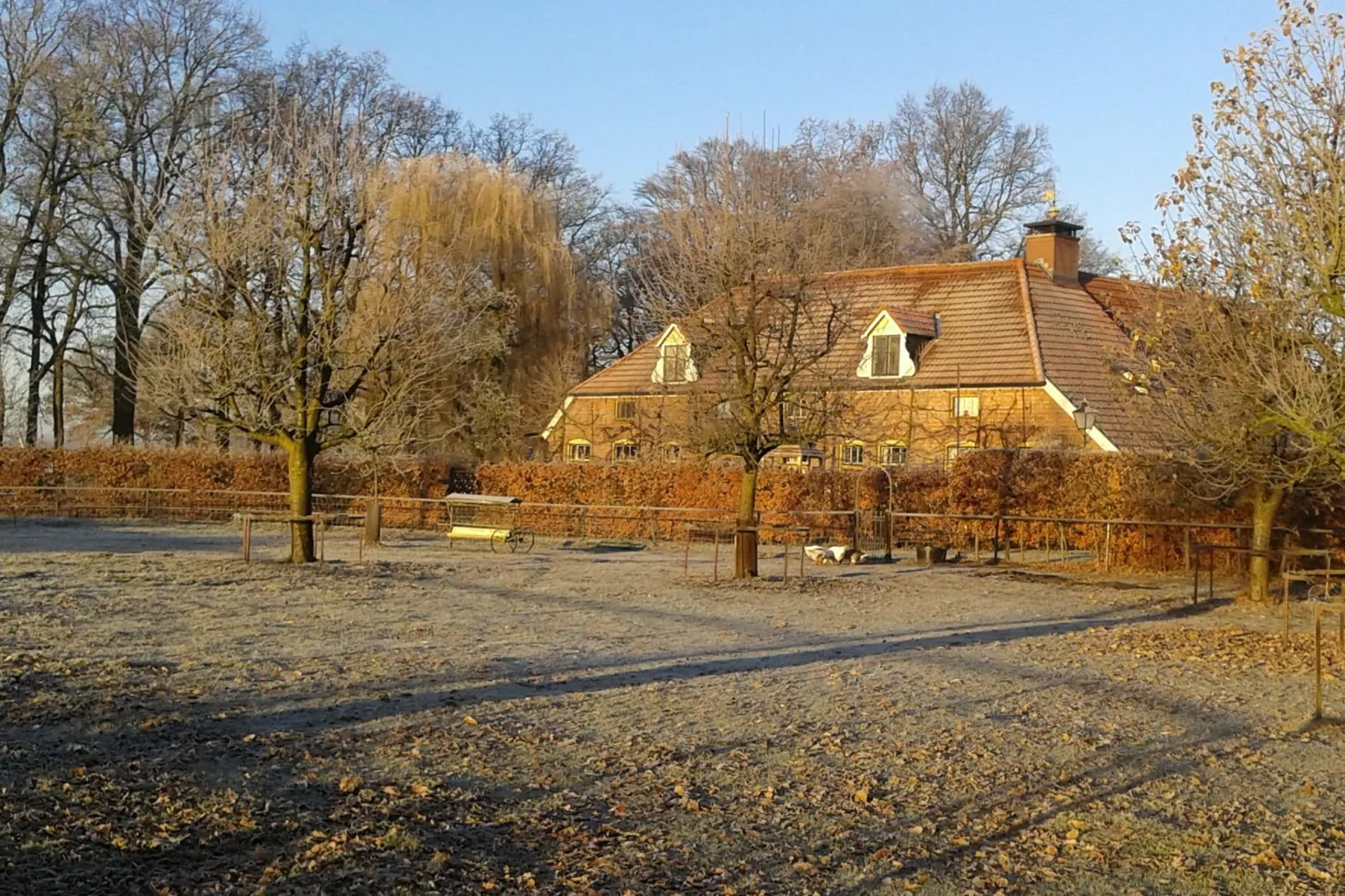 Gelink Hof-Gebied winter 1km