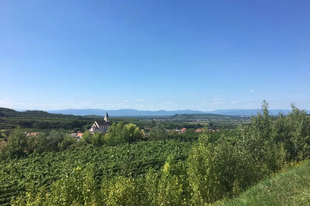 407067-Gebieden zomer 5km