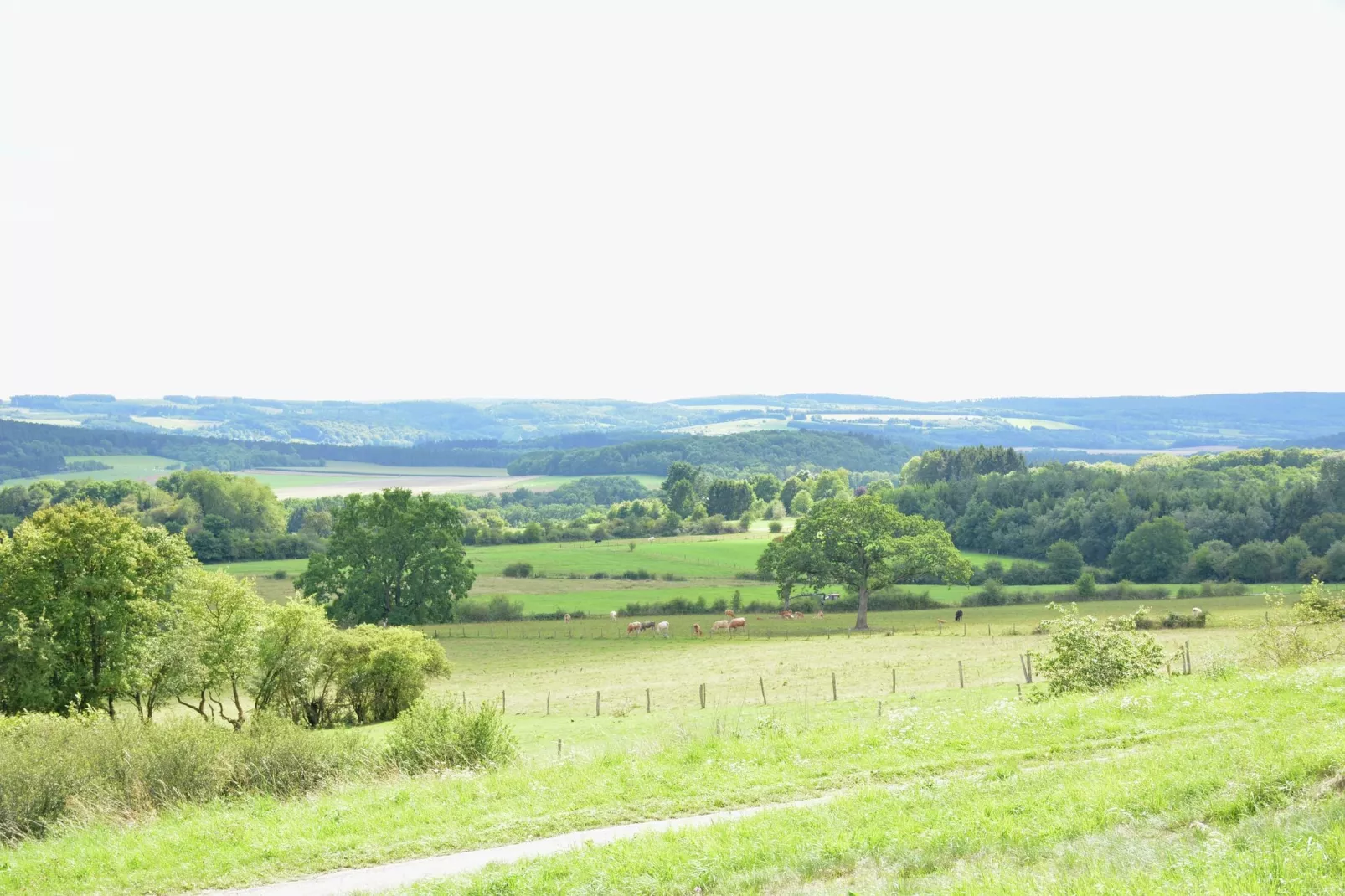 Sous le Charme d'Epona-Gebieden zomer 1km