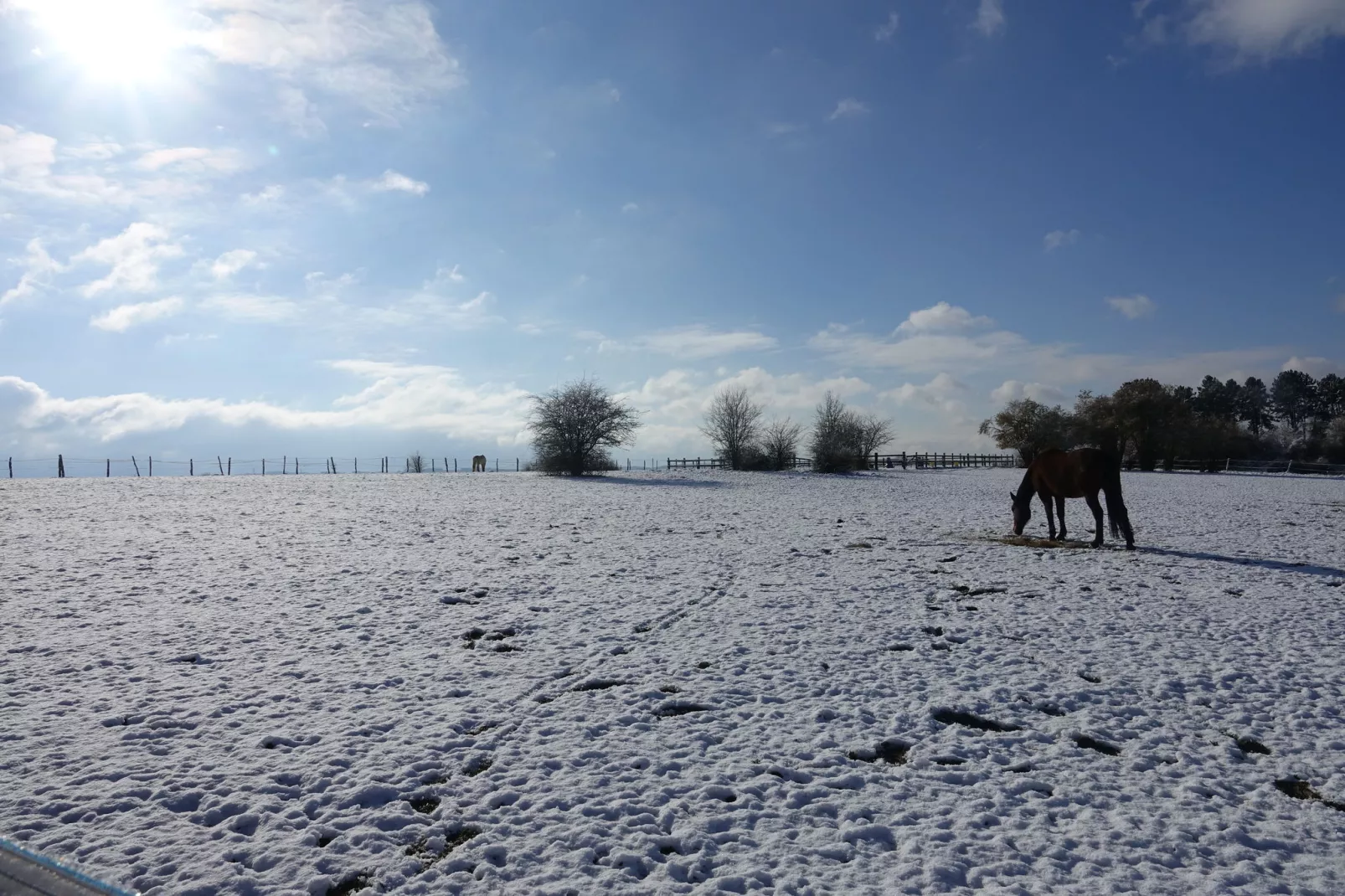 Sous le Charme d'Epona-Sfeer