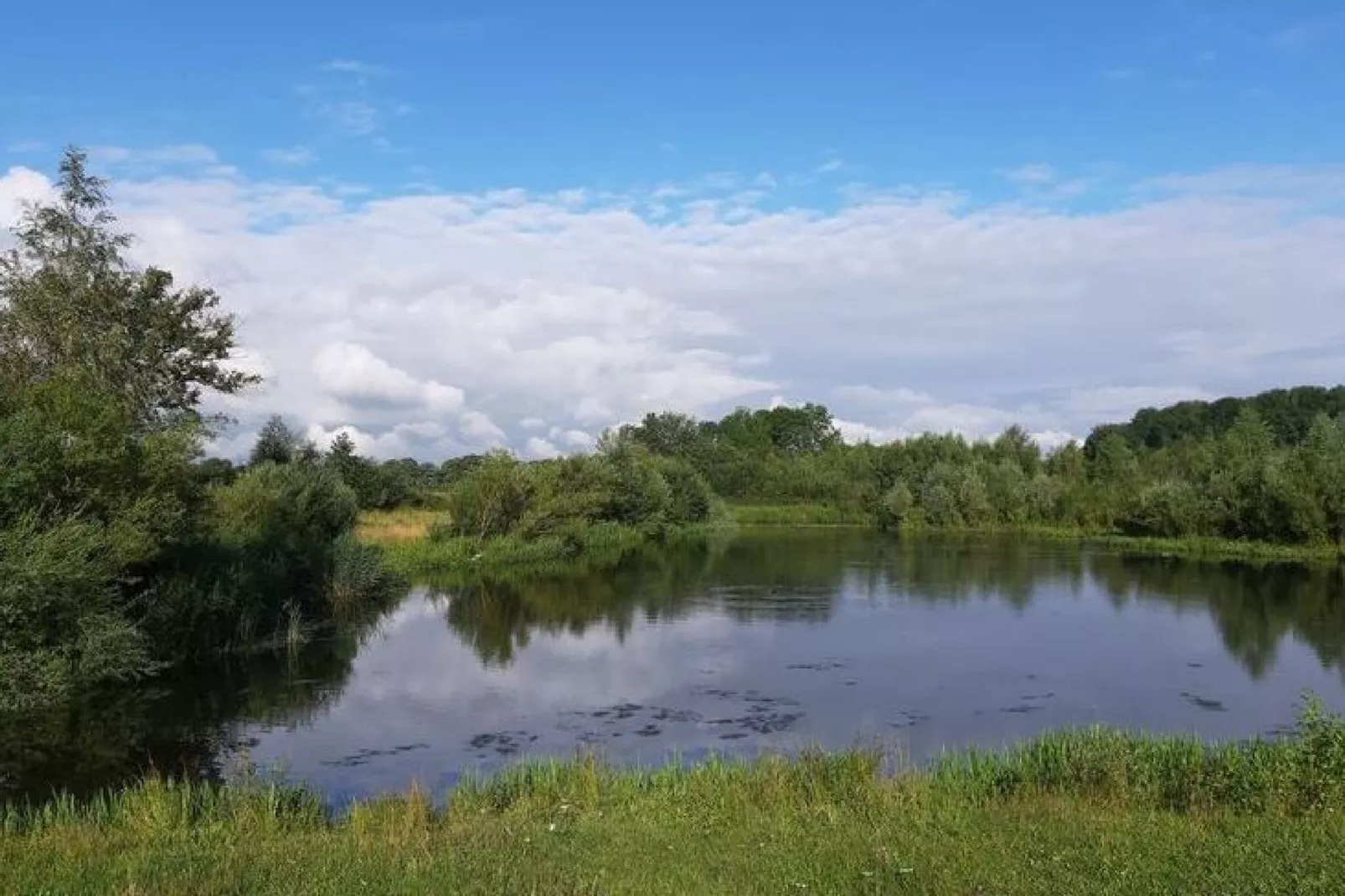 Gelink Hof-Gebieden zomer 1km