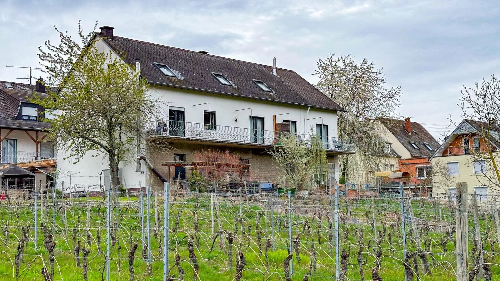 Weingut Hermes-Lex-Buitenkant zomer