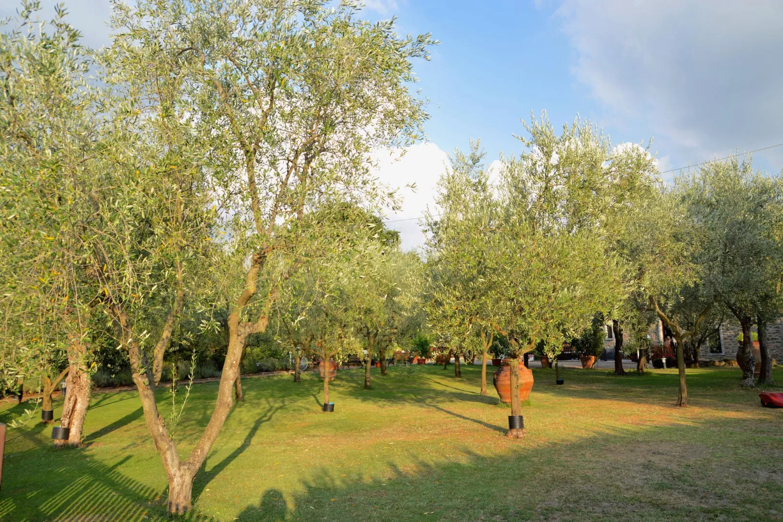 Il Belvedere-Tuinen zomer