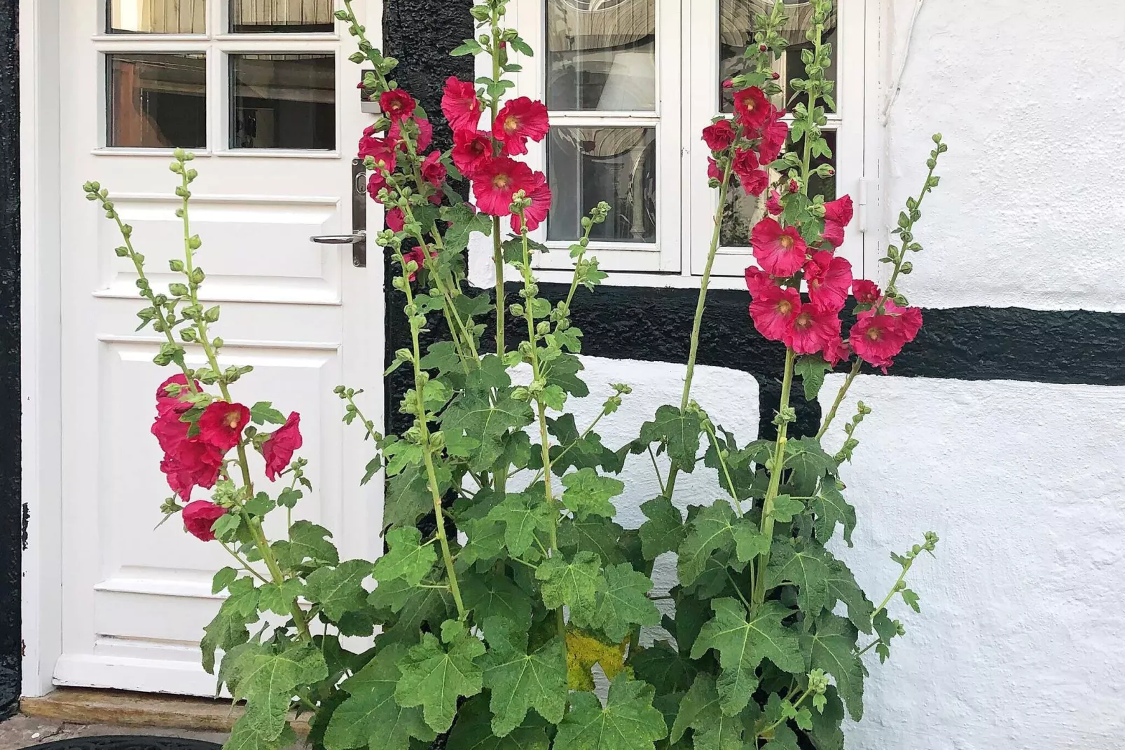 4 sterren vakantie huis in Hadsund-By Traum-Buitenlucht