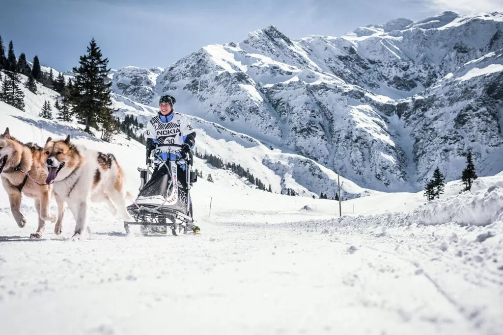 323654-Gebied winter 5km