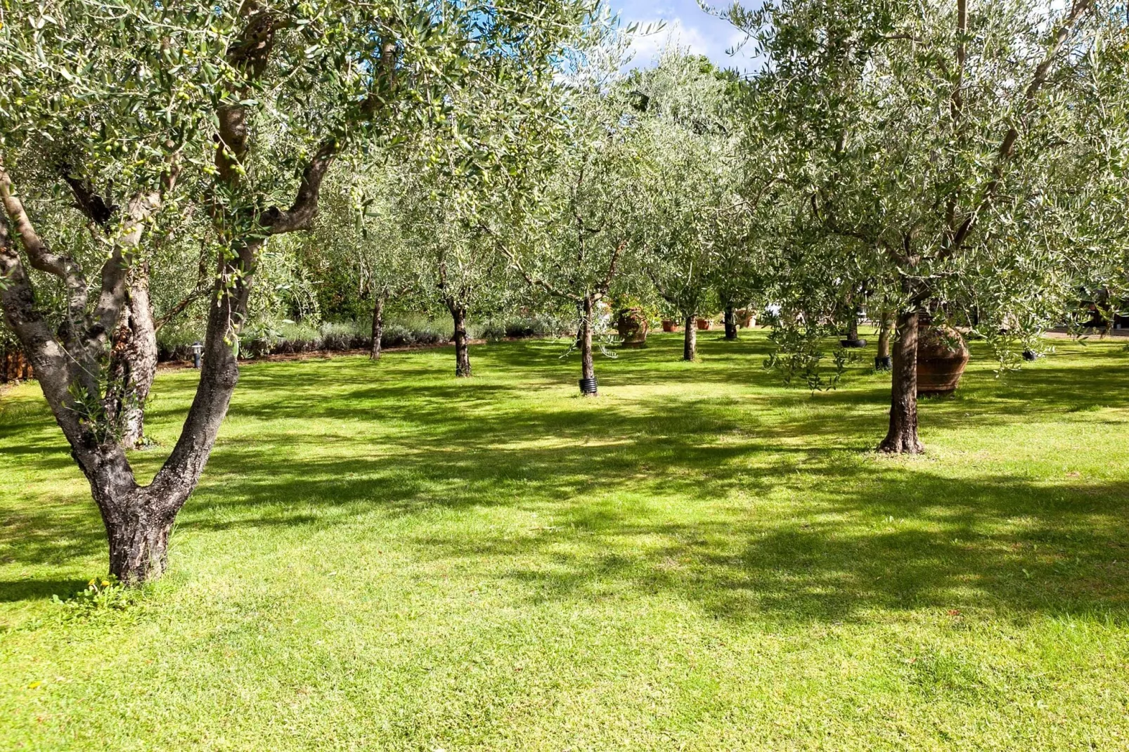 Il Nido-Gebieden zomer 1km